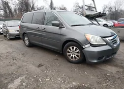 5FNRL38768B111361: 44432748