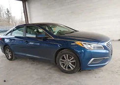 5NPE24AFXHH534549: 44433717