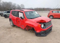 ZACCJABB3JPG95732: 44434801