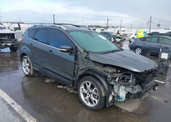 1FMCU0J99FUA08951: 44435237