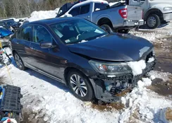 1HGCR2F30EA019067: 44434738