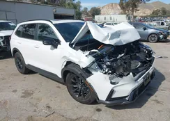 7FARS5H53SE036191: 44435887