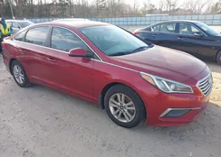 5NPE24AF6GH337313: 44435998