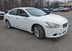 1N4AA5AP7AC819698: 44436259