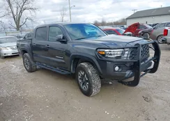 3TMCZ5AN1NM526281: 44437153