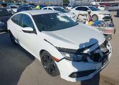 19XFC2F80KE209517: 44437902