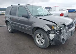 1FMCU96H66KA20605: 44438355