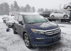 5FNYF6H52JB071935: 44439033