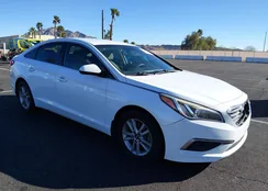 5NPE24AF5GH347380: 44438563