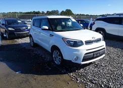 KNDJP3A59K7918206: 44439901