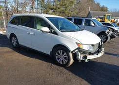 5FNRL5H40FB094510: 44440043