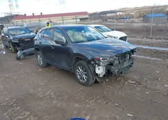 JM3KFBBM7P0216674: 44440052