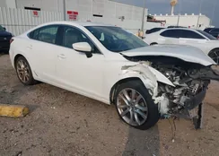 JM1GJ1V53G1439137: 44439572