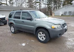 1FMYU03147KA98181: 44439663