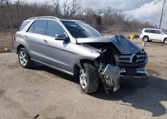 4JGDA5JB2GA619937: 44440379