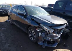 19XFC2F53HE063208: 44441940