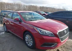 KMHE24L12GA019175: 44441966