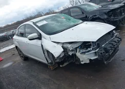 1FADP3H20HL239164: 44442849