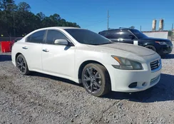 1N4AA5APXDC817058: 44442979