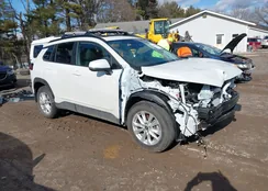 7MUBAABG8PV070249: 44443024