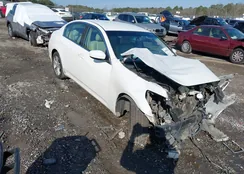 JN1CV6AP4AM402162: 44442631