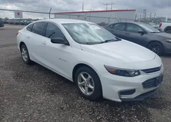 1G1ZC5STXJF192277: 44444256