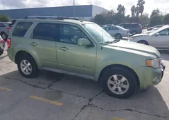 1FMCU59339KB02028: 44443574