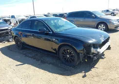 WAUEFAFL3GN003447: 44443703