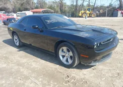 2C3CDZAG4PH526370: 44443743