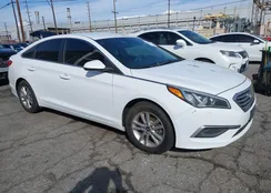 5NPE24AFXGH361372: 44444770