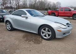 WDBWK54F46F127533: 44444873