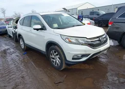 5J6RM4H7XFL025736: 44444444