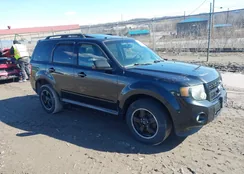 1FMCU9DG4BKB96377: 44445959