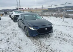 JM1BPALM9P1601193: 44446158