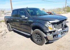 1FTEW1EG3JKE37173: 44447073