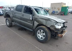 3TMJU4GN5EM164284: 44447206