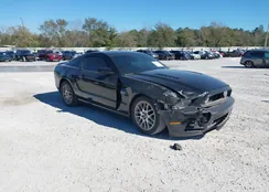 1ZVBP8CF0E5239123: 44447247