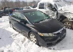 2HGFA16509H521844: 44447333