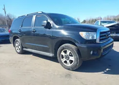 5TDBY5G11CS062697: 44446518