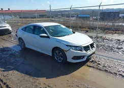 19XFC2F59GE204510: 44446631