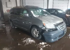 5FNRL38707B005874: 44446653