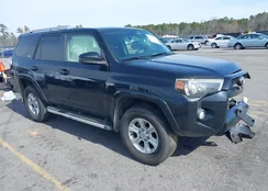 JTEBU5JRXG5393022: 44449163