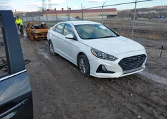 5NPE24AF1JH603327: 44449240