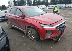 5NMS2CAD4KH098863: 44448432