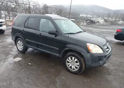 SHSRD78895U343308: 44448461