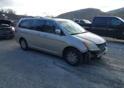 5FNRL38848B093418: 44449338