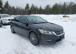 1HGCR2F54FA143569: 44449664