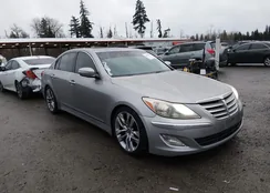 KMHGC4DD7DU252218: 44451055