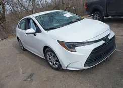 5YFB4MDE9TP409635: 44451206