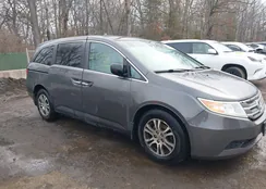 5FNRL5H66CB069818: 44451845